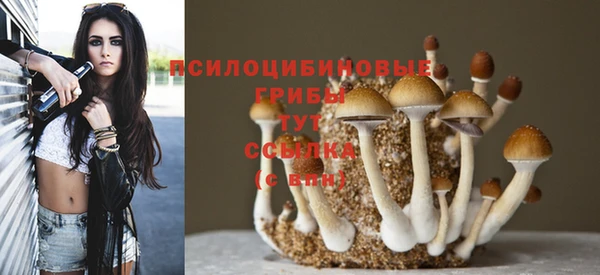 СК Козельск