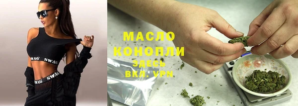 молекула духа Билибино