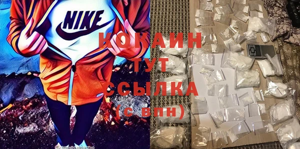 стаф Бикин