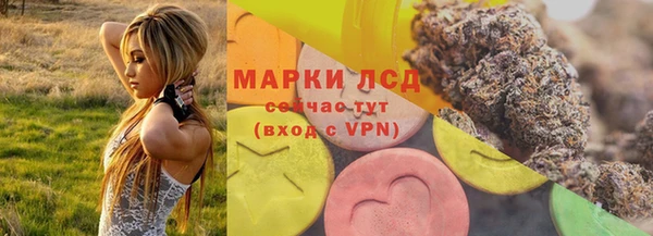 СК Козельск