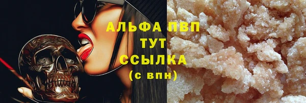 СК Козловка